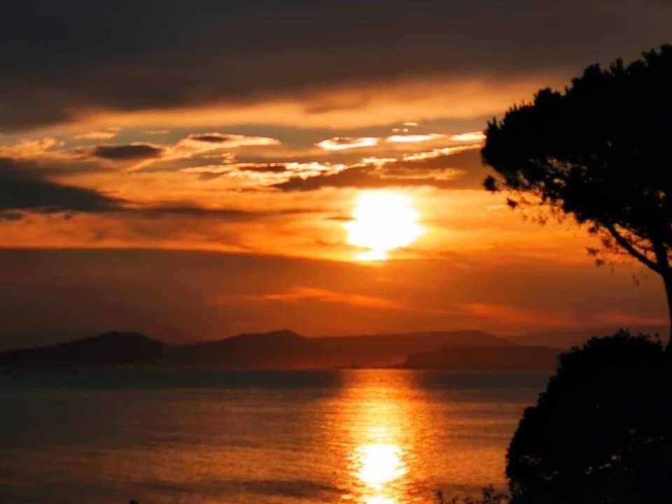 Ischia - Panoramic Apartment On The Sea Lacco Ameno  Екстериор снимка